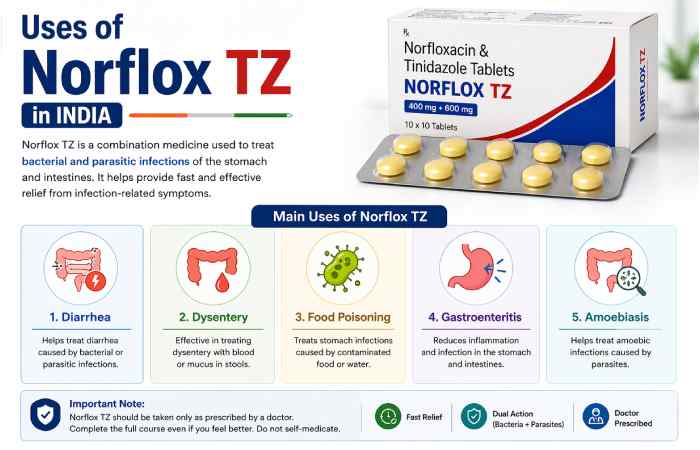 norflox tz uses